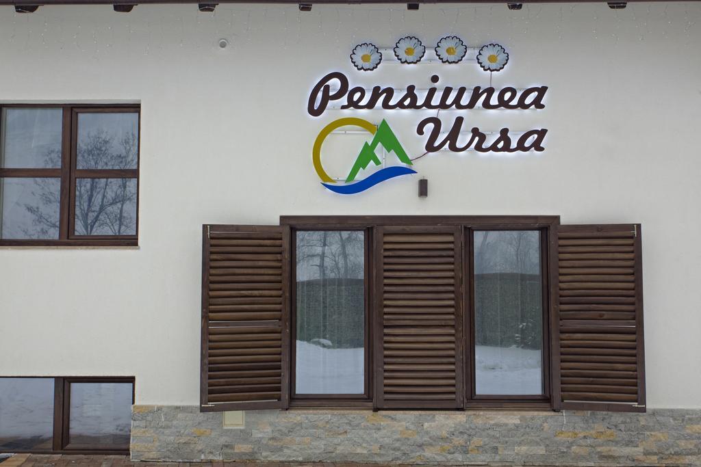ホテル Pensiunea Ursa Bistrita Bargaului エクステリア 写真